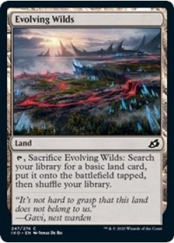 Evolving Wilds