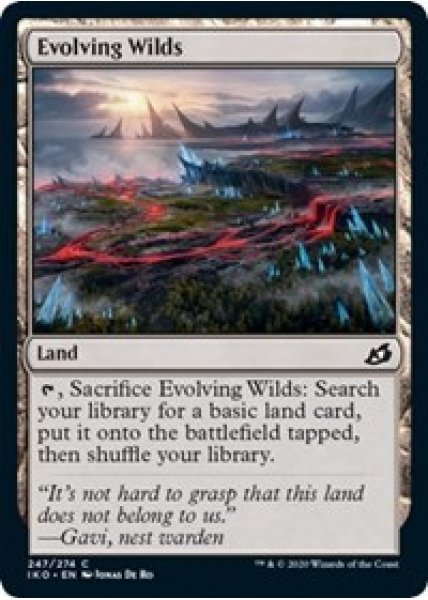 Evolving Wilds