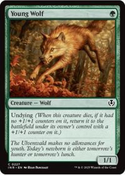 Young Wolf - Foil