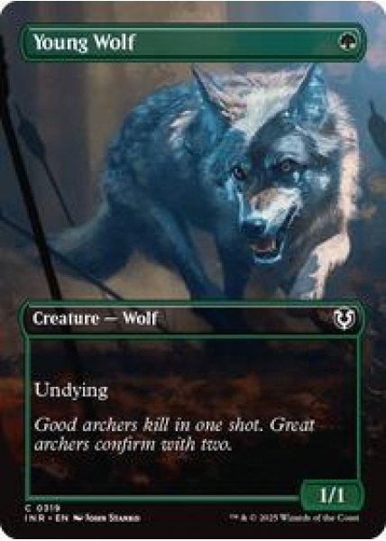 Young Wolf (Borderless)