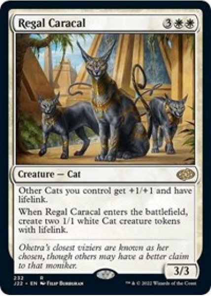 Regal Caracal