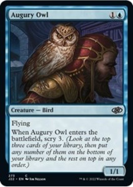 Augury Owl