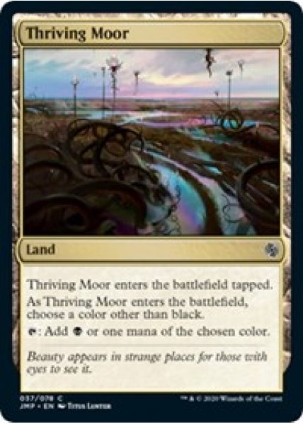 Thriving Moor