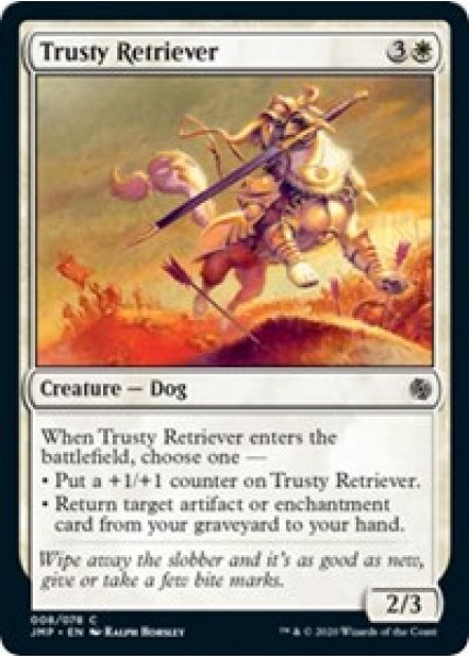 Trusty Retriever