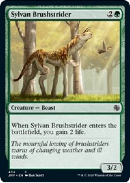 Sylvan Brushstrider