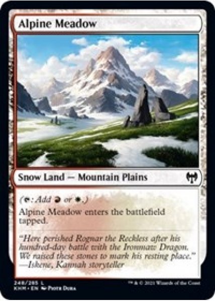 Alpine Meadow