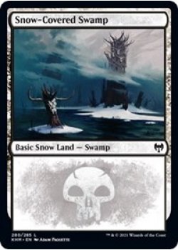 Snow-Covered Swamp (280)