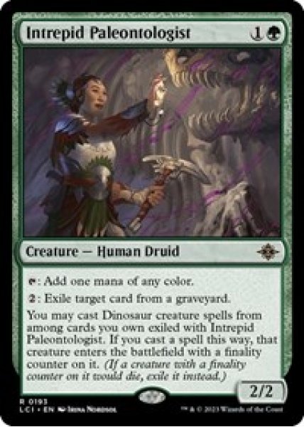 Intrepid Paleontologist Foil