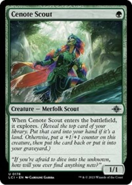 Cenote Scout Foil