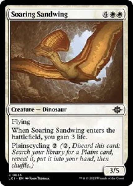 Soaring Sandwing Foil