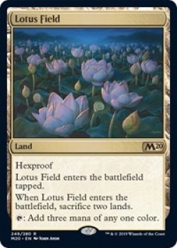 Lotus Field