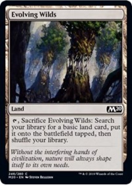 Evolving Wilds - Foil