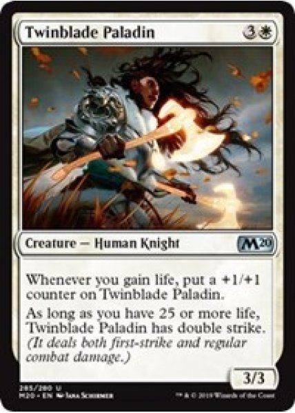 Twinblade Paladin