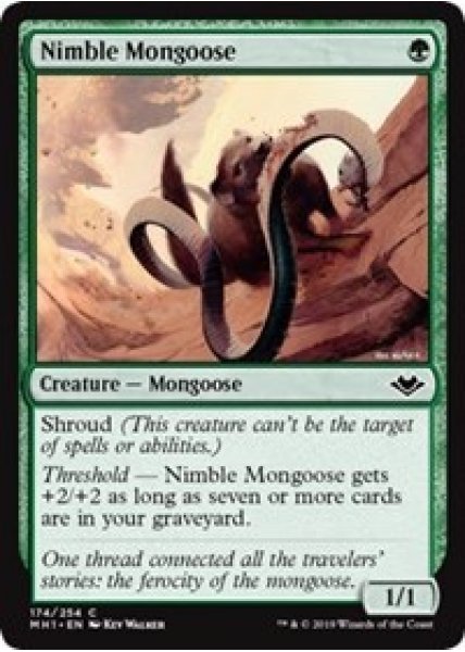 Nimble Mongoose - Foil