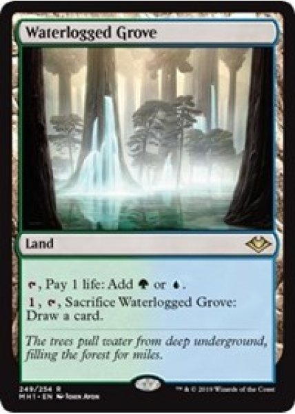 Waterlogged Grove - Foil