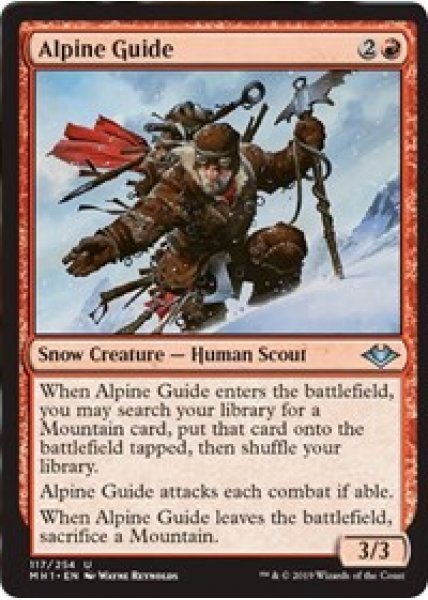 Alpine Guide - Foil