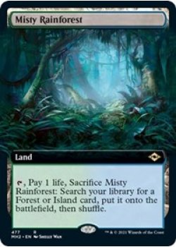 Misty Rainforest (Extended Art)