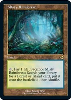 Misty Rainforest (Retro Frame) - Foil