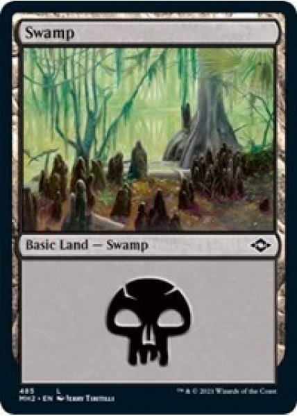 Swamp (485) (Foil Etched) - Foil