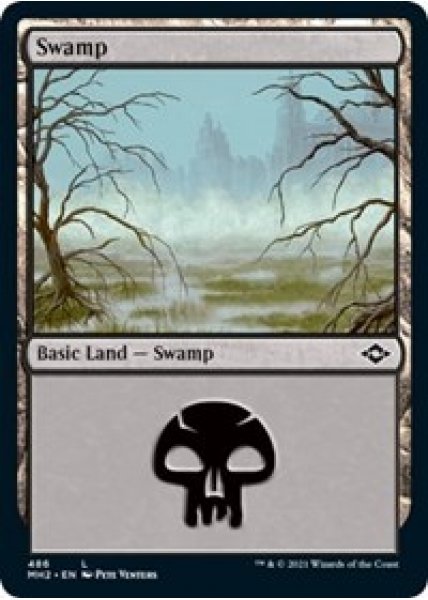 Swamp (486) (Foil Etched) - Foil