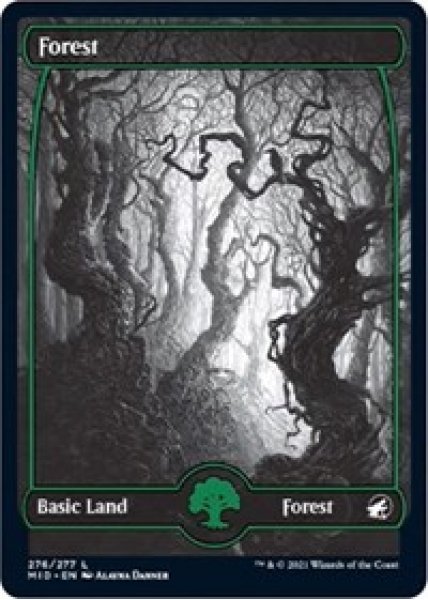 Forest (276) - Foil