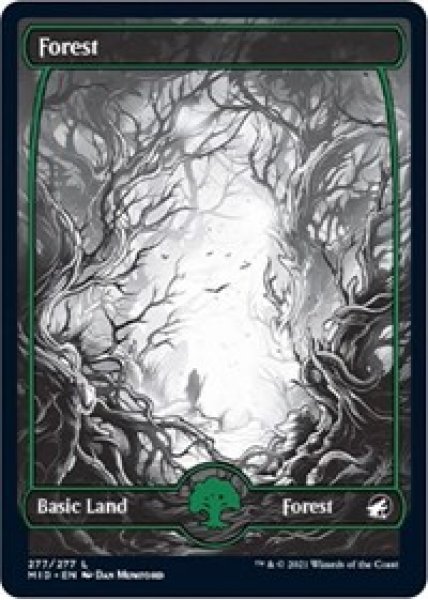 Forest (277) - Foil