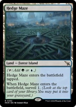 Hedge Maze