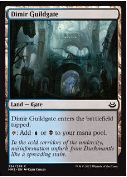 Dimir Guildgate