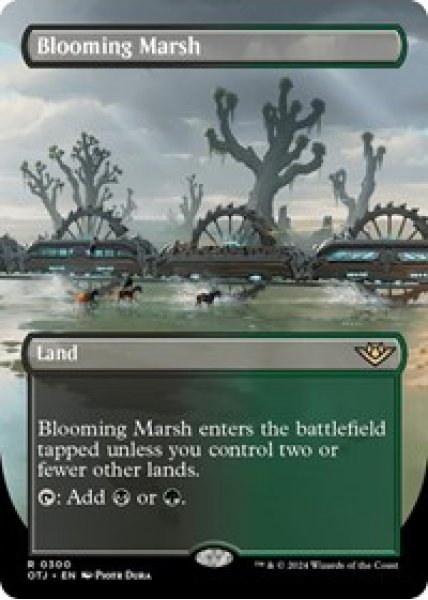 Blooming Marsh (Borderless) Foil