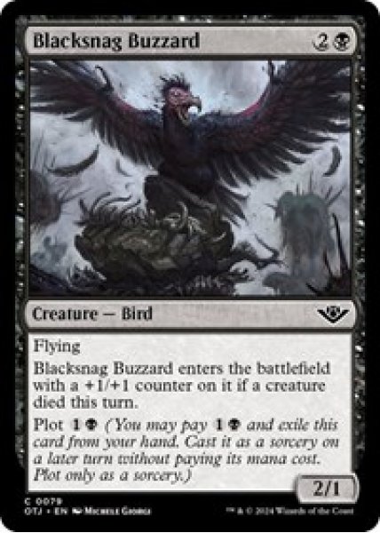 Blacksnag Buzzard Foil