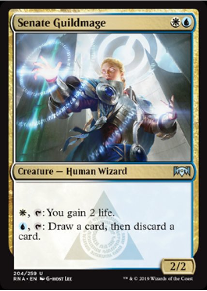 Senate Guildmage - Foil