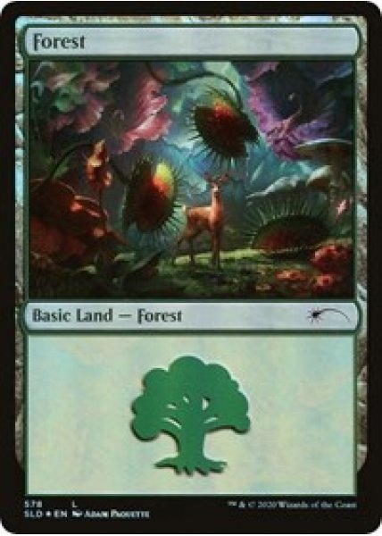 Forest (578) - Foil