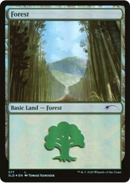 Forest (577) - Foil