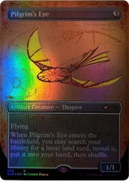 Pilgrim's Eye (Borderless) - Foil