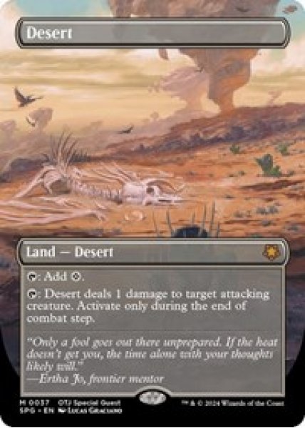 Desert (Borderless)