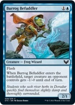 Burrog Befuddler - Foil