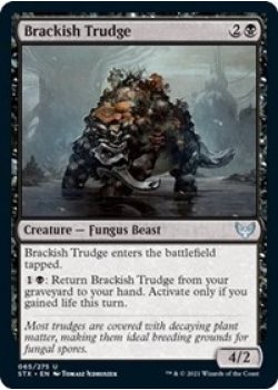 Brackish Trudge