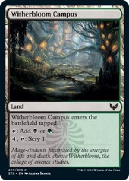 Witherbloom Campus - Foil