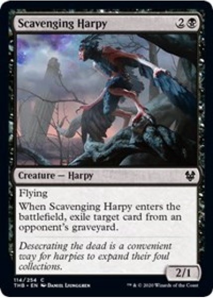 Scavenging Harpy