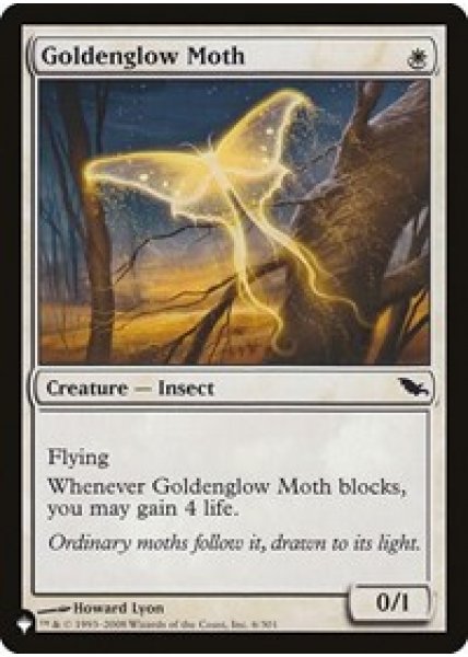 Goldenglow Moth