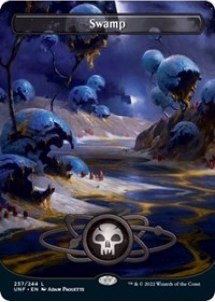 Swamp (237) - Full Art - Foil