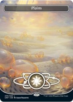 Plains (235) - Full Art - Foil