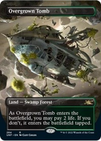 Overgrown Tomb (Borderless) - Foil