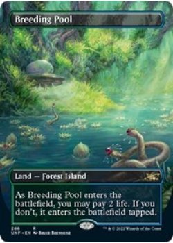 Breeding Pool (Borderless) - Foil