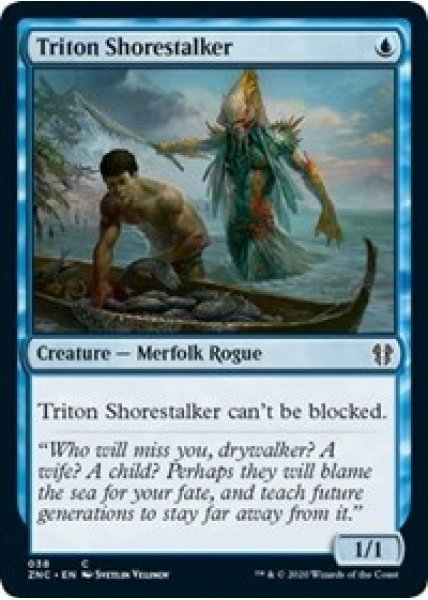 Triton Shorestalker