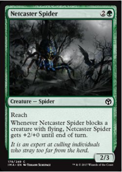 Netcaster Spider - Foil