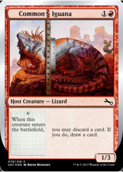 Common Iguana - Foil