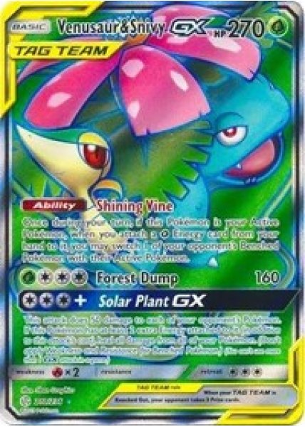 Venusaur & Snivy GX  210/236 - Holo