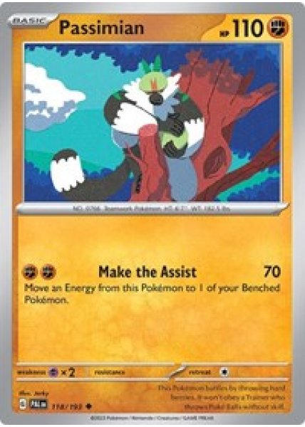 Passimian 118/193