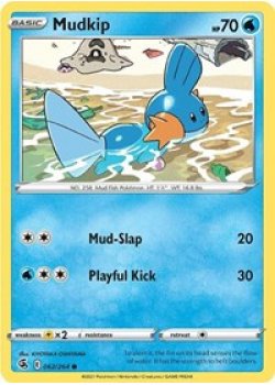 Mudkip 062/264